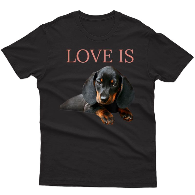 Dachshund Shirt Dog Mom Dad Gift Doxie Tshirt T-shirt