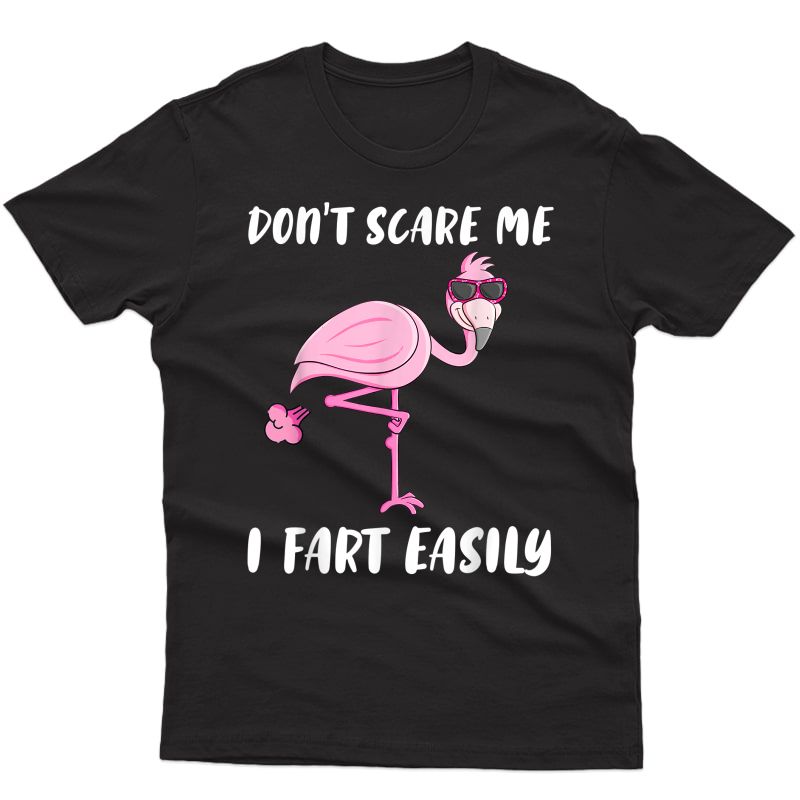 Don't Scare Me I Fart Easily Funny Flamingo Lover Gifts T-shirt