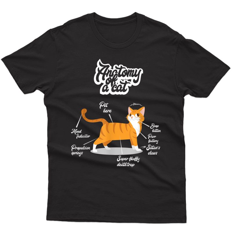 Orange Tabby Cat T-shirt | Anatomy Of A Cat Cute Present