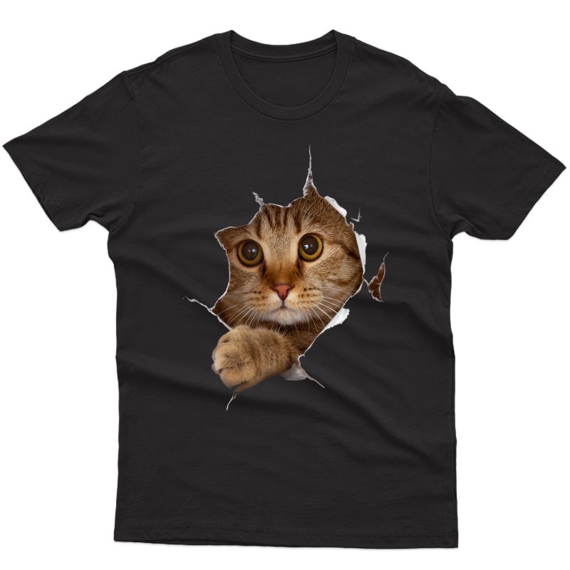 Sweet Kitten Torn Cloth - Funny Cat Lover Cat Owner Cat Lady T-shirt